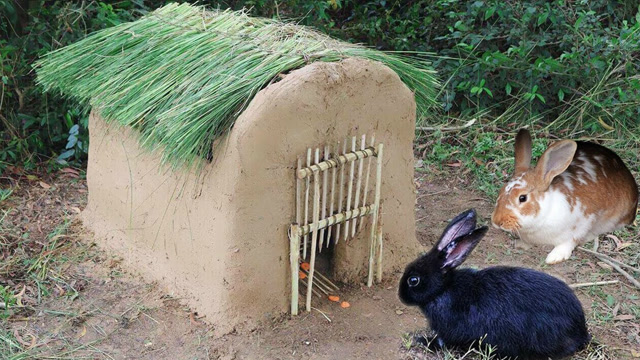 用砖头自制兔子窝图片图片