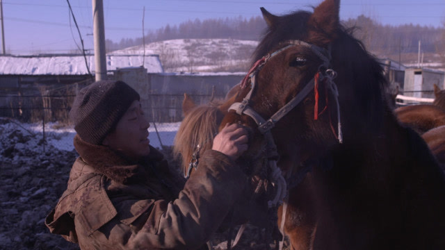 东北猎人为何要给马鼻子豁口?