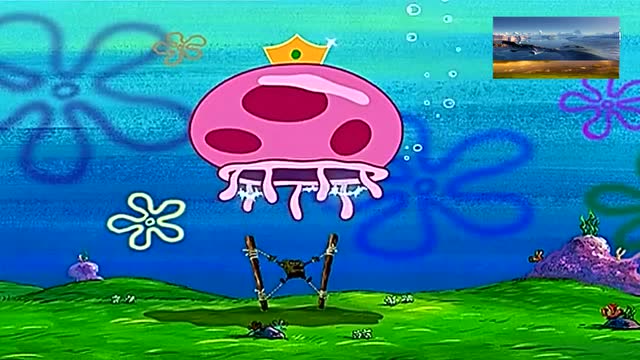 海宝宝想要加入水母捕手俱乐部,于是参加各种考验