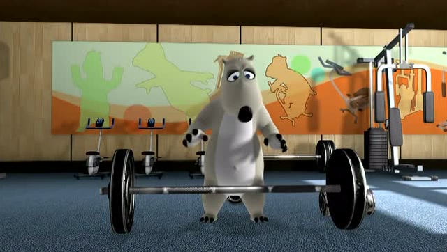 倒霉熊:健身房里的倒霉熊!