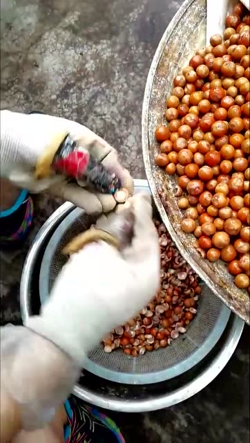 鸡头米是这样剥的