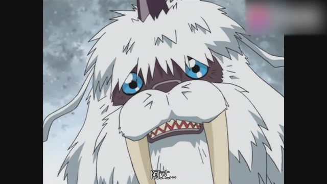 数码宝贝海狮兽的超进化,一击击破暗黑悟空兽身上的合金铠甲!