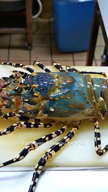 比我还高的巨虾,颜值超高,我要发朋友圈了哦!