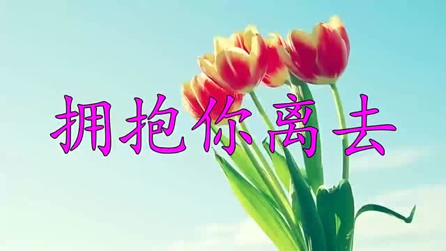 灵魂歌者经典歌《拥抱你离去》,实在是太美了,希望你们喜欢