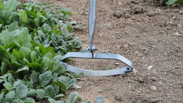 还在弯腰除草吗,外国牛人自制除草器,实在太好用了