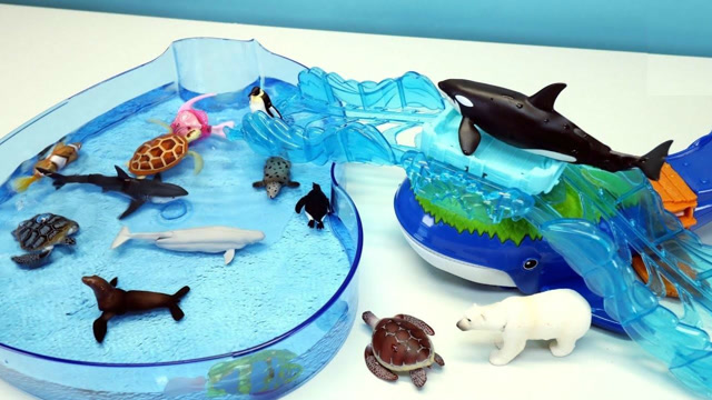 组装水族馆认识小海龟小海豚动物玩具
