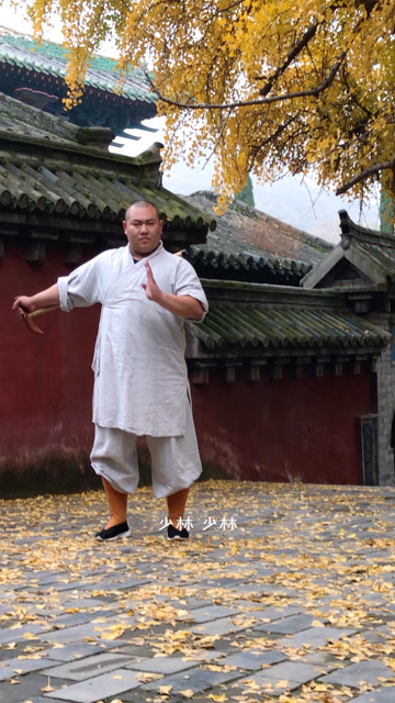 少林达摩杖,我们生活中用到的拐杖