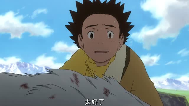 藏獒多吉多吉看到两只受伤的藏獒心疼不已还好它们都还活着