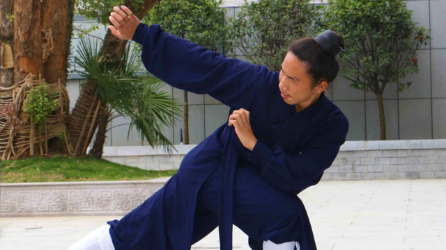 看这武当三丰弟子的龙华拳,腿法刚劲有力,身法灵活,太精彩了