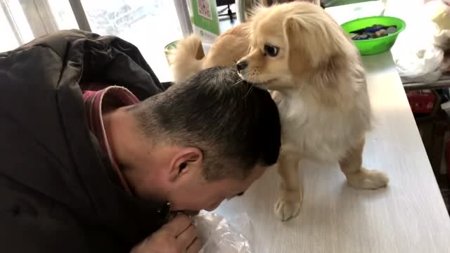 狗子:敢跟我抢狗粮,我要像你老婆一样挠你