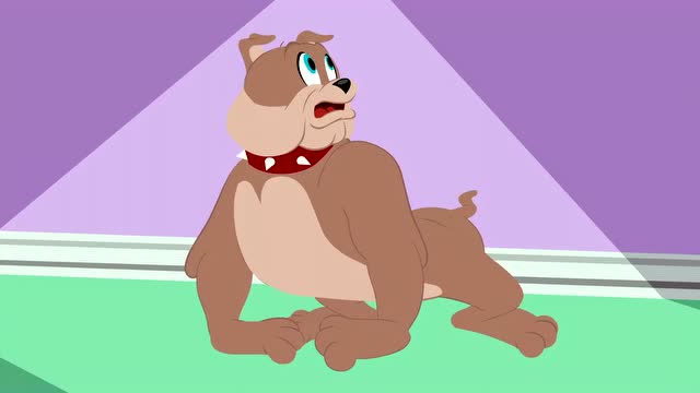 新猫和老鼠:超级弹弹球斯派克最喜欢玩了,汤姆和它一起玩