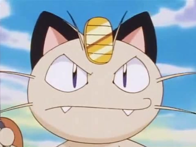 宠物小精灵,喵喵表示它只要靠着风的力量,就可以拿到第一