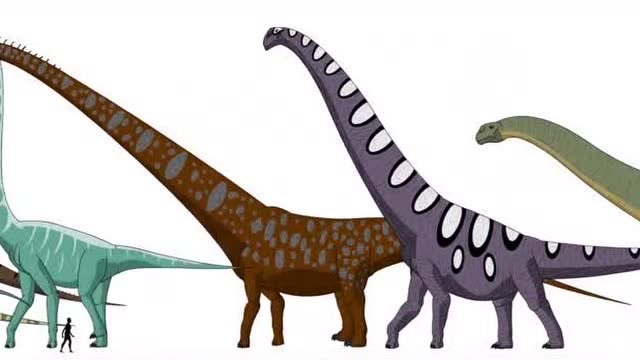 恐龙动漫展:霸王龙三角龙梁龙登场