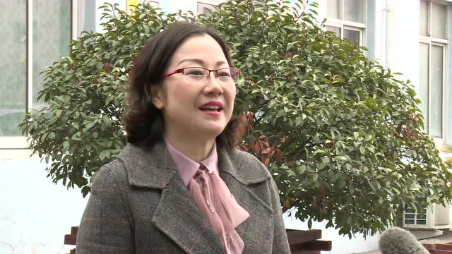 鼎泰高科公司王馨02