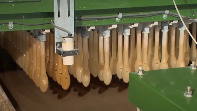 见过工厂生产气球吗流水线生产太过瘾看着有点像另一种物品