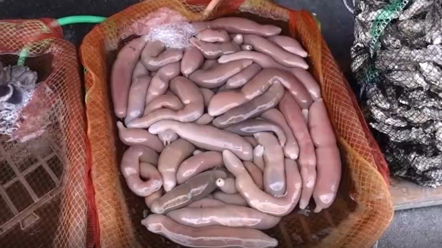 韩国海鲜市场的海肠刺身,从剪开的那一刻起我就不想吃了