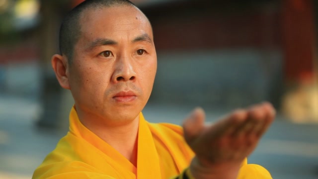 少林武僧确实有真功夫!武僧团教师演示掌法在实战中的要领