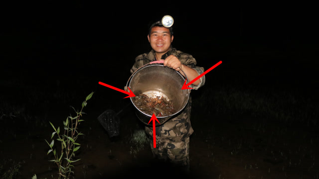 小农乡:天气太热,去田里捡龙虾,一晚上收获4斤,还遇到一条蛇
