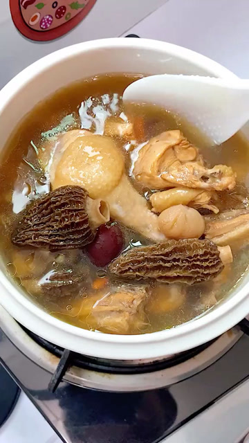 美味的羊肚菌炖鸡