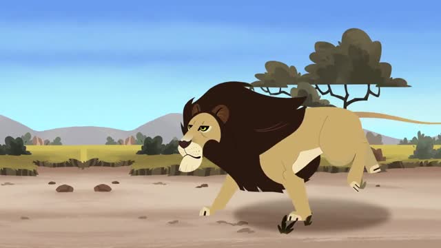 动物兄弟:大雄狮子疯狂的奔跑,一不留神被豪猪刺到满身刺