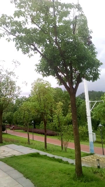 信丰花园湾广场