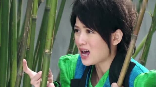 春光灿烂猪九妹:猪八戒喝完酒后,现出原形!