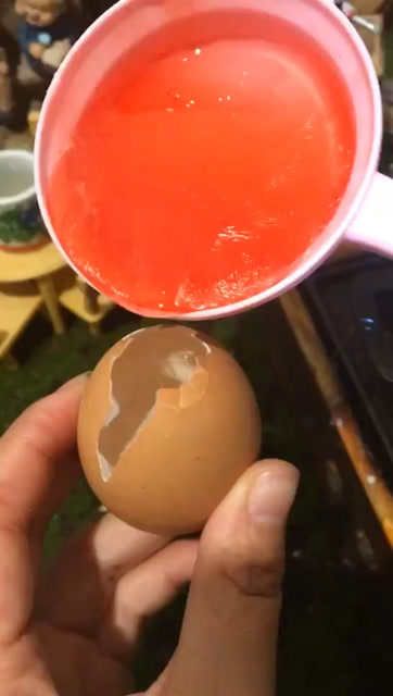 做了个假鸡蛋