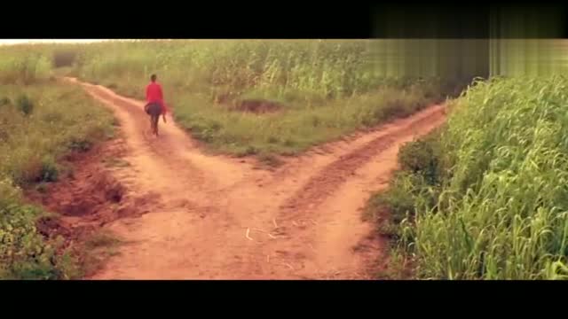 红高粱经典一段,九儿骑驴走,余占鳌突然把她劫走!