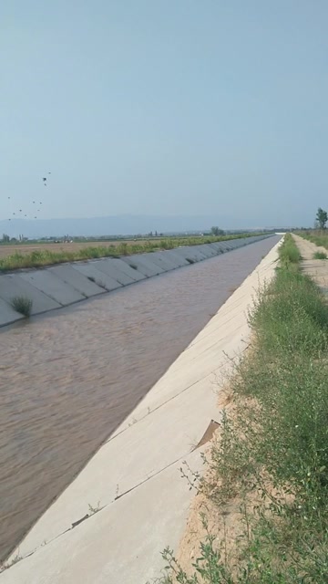 这里是黄河引流渠