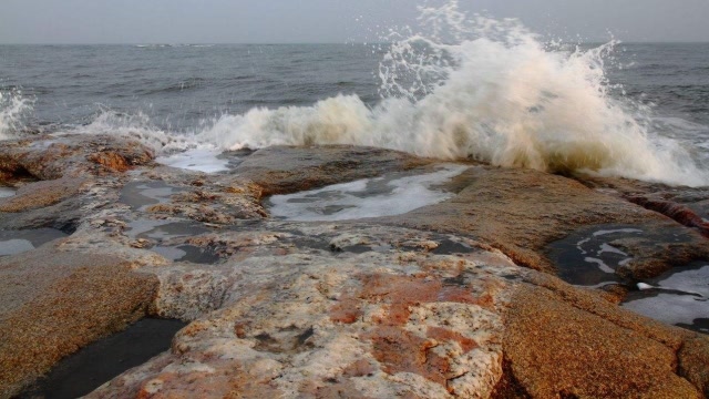 退潮以后海水跑哪去了?看完长知识了