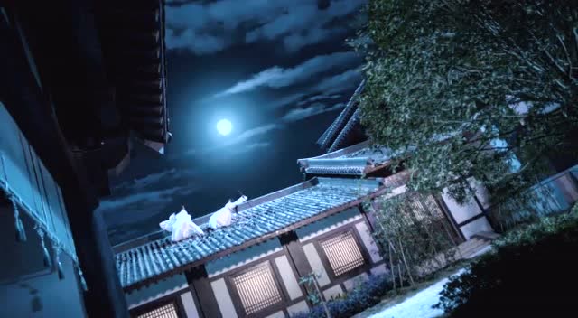 陈情令蓝忘机和魏无羡在屋顶上打架魏无羡太坏了