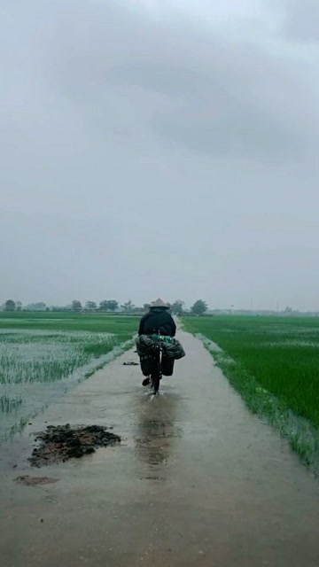 这一路走来跌跌撞撞,在这风雨中我学会了坚强