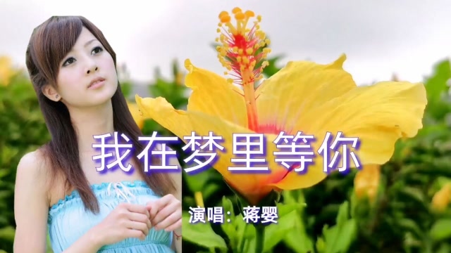 一首dj情歌《我在梦里等你》动感的旋律,醉人的歌声,超好听!