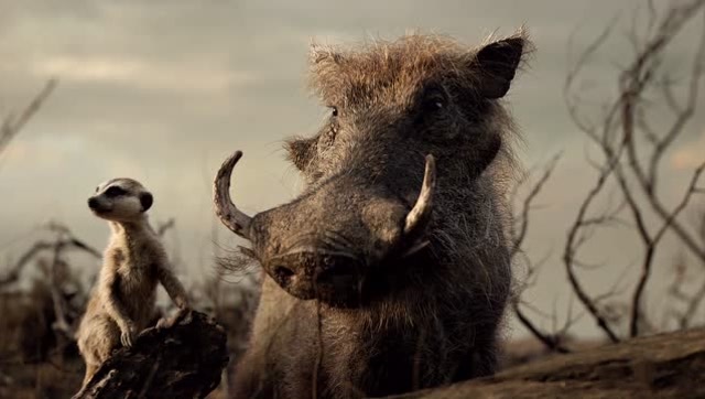 狮子王疣猪愿为辛巴大王誓死效命