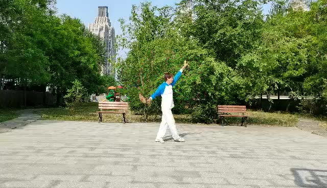 gnsh240 花式-个人 北京绿色家园柔力球队 舒才生 《中国范》