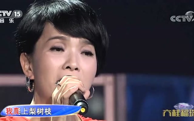 《梨花又开放》演唱:陈明