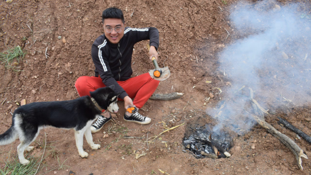 小伙和哈士奇野外烤红薯,二哈不干活还嫌小吉磨叽,这傻狗事真多