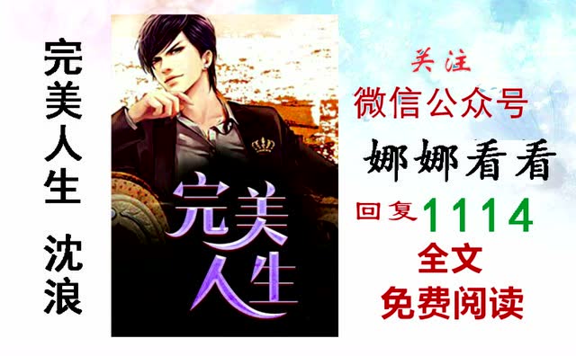 完美人生沈浪免费