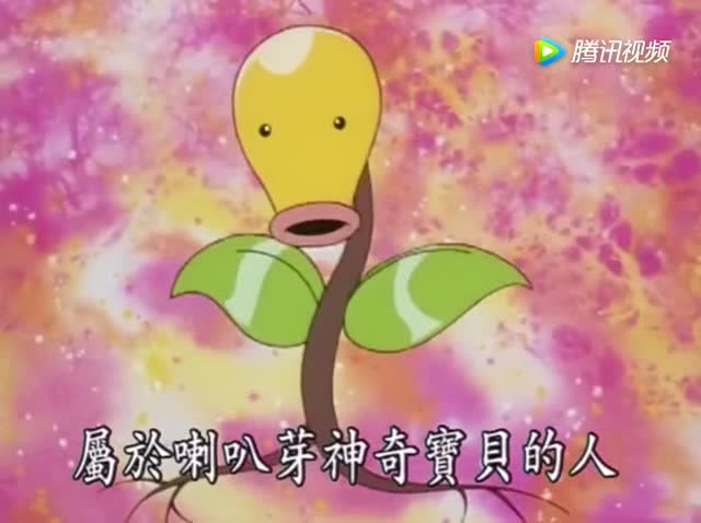 神奇宝贝,小智的对应神奇宝贝是喇叭芽,小霞的对应是最讨厌的太逗了