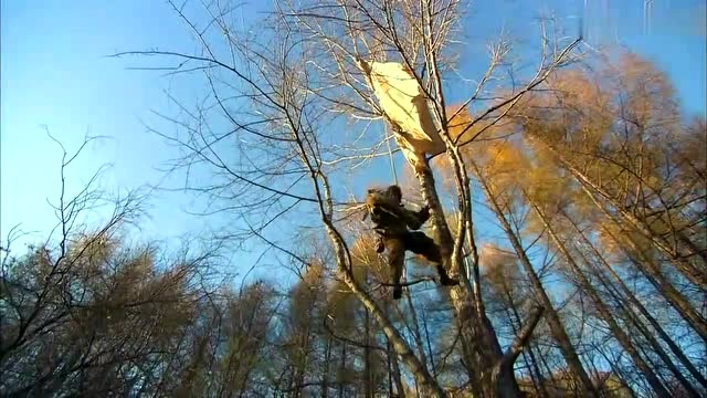 娜塔莎:新兵第一次跳伞,结果尴尬地挂在树上,女教官无奈