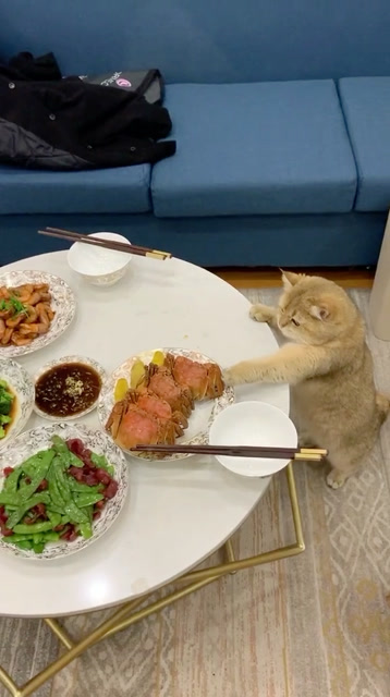 这吃东西的姿势帅