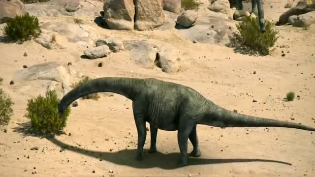 恐龙cg动画-丹波龙大战食肉龙,还原史前恐龙世界