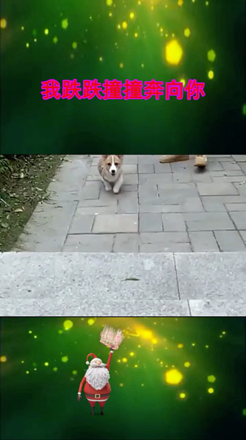 我跌跌撞撞奔向你