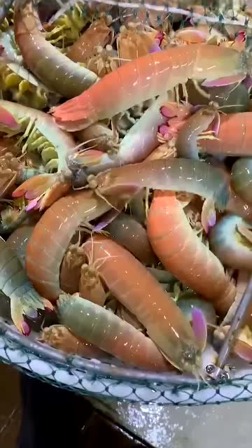 居然还有七彩的皮皮虾,真是皮皮虾里面的王者啊,真好看!