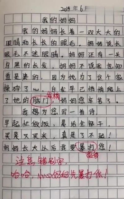 小学生搞笑作文这错别字就不怕会发生家暴吗