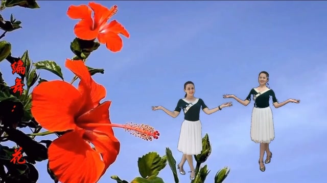 金华广场舞《 走着走着花就开了 》形体舞 编舞:花与影