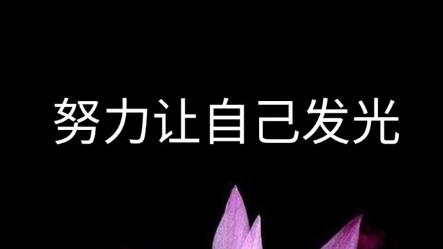 唯美-情感语录-努力让自己发光