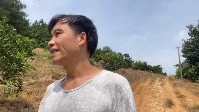 广西炮哥投资几十万搞种植,湖南老婆却抱怨起来,到底咋回事?