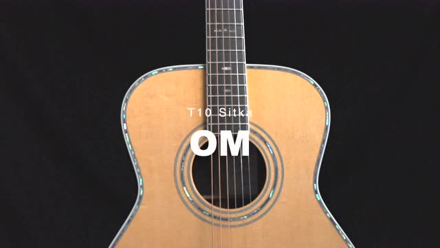 【新品首发】5000 价位全单民谣吉他 - 恩雅t10s,震撼首发!