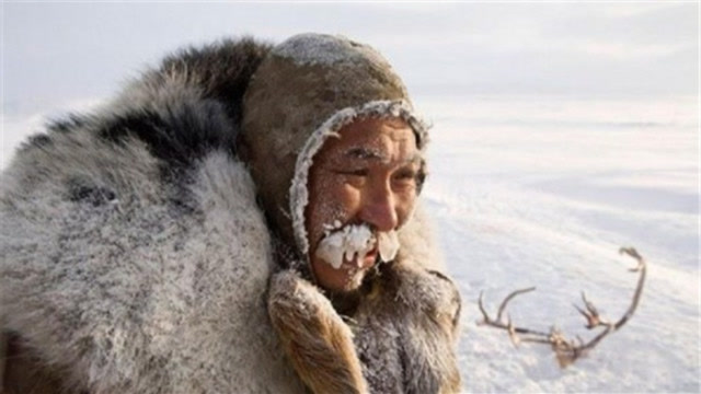 北极地区因纽特人图片